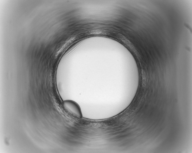 X0000100210482200806271707