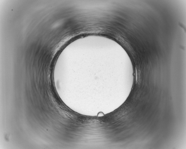 X0000100210483200806271707