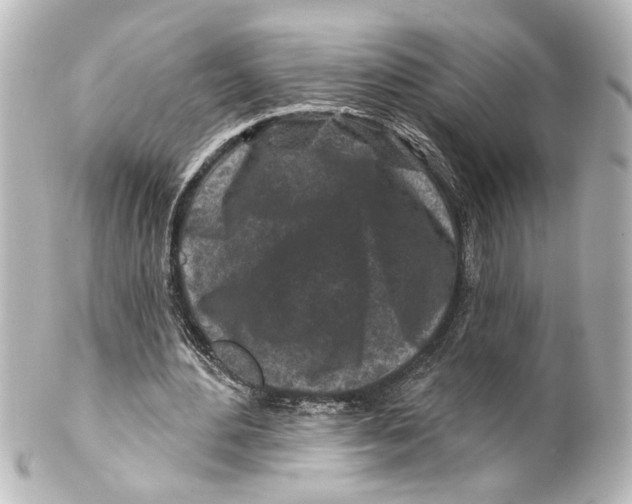 X0000100210484200806271707