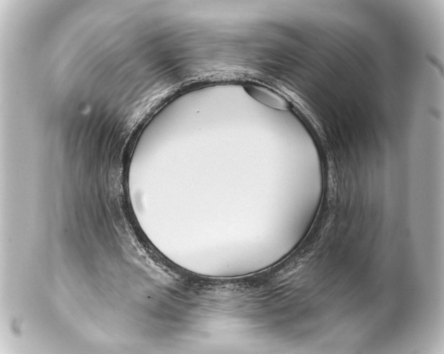 X0000100210485200806271707