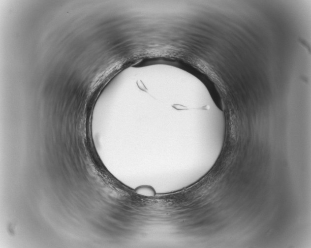 X0000100210486200806271707