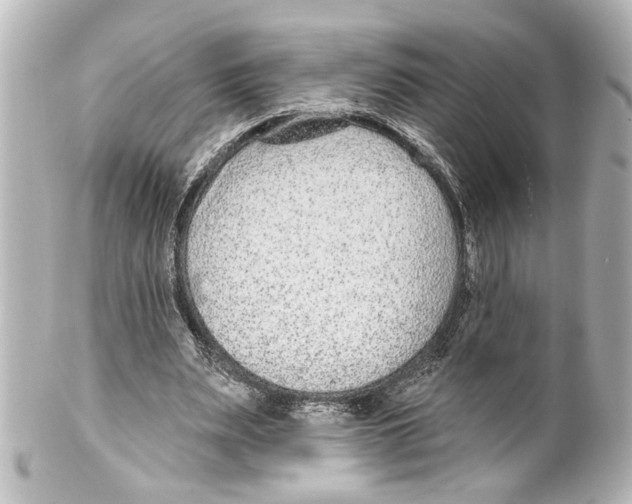 X0000100210487200806271707