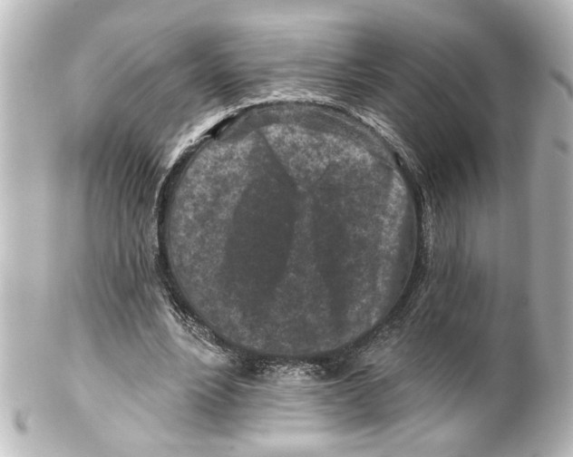 X0000100210488200806271707