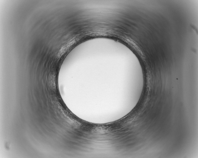 X0000100210489200806271707