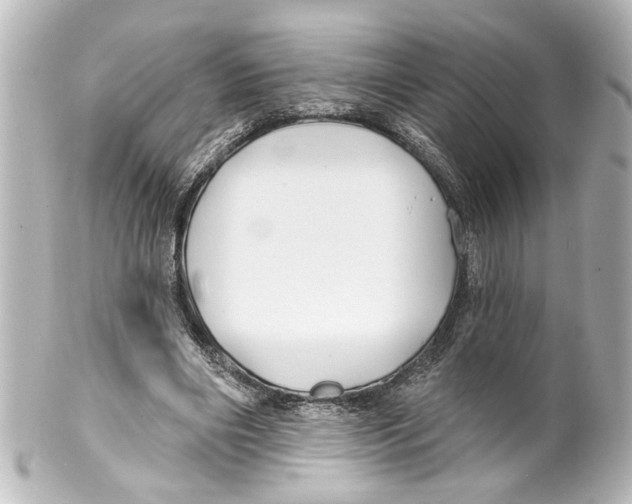 X0000100210490200806271707