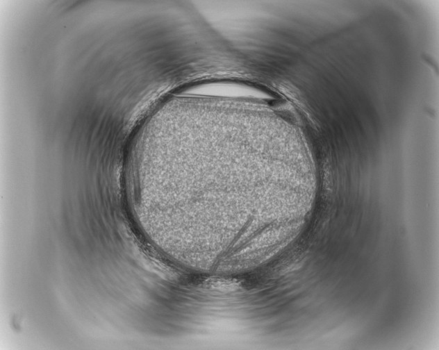 X0000100210491200806271707