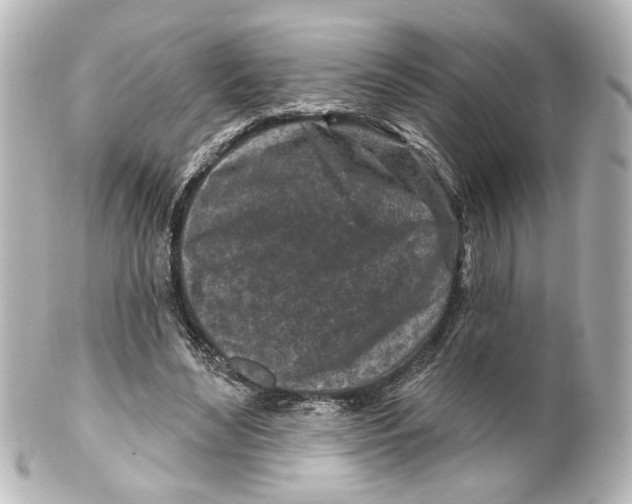 X0000100210492200806271707