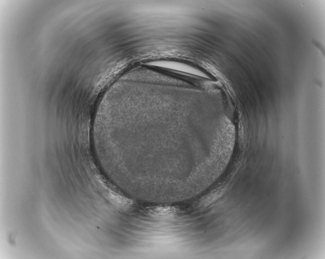 X0000100210493200806271707