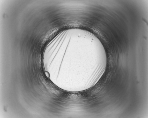X0000100210494200806271707