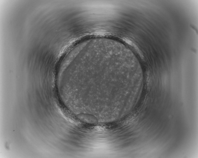 X0000100210496200806271707
