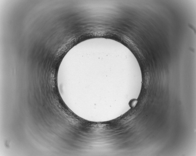 X0000100210497200806271707