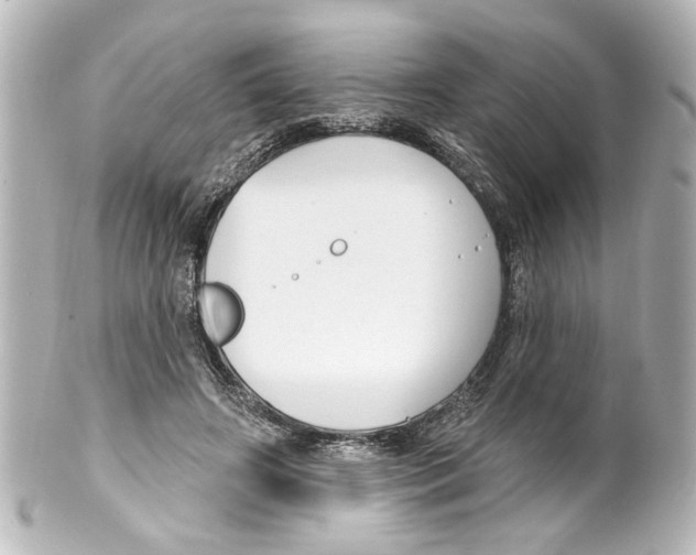 X0000100210498200806271707