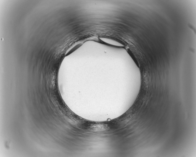 X0000100210499200806271707