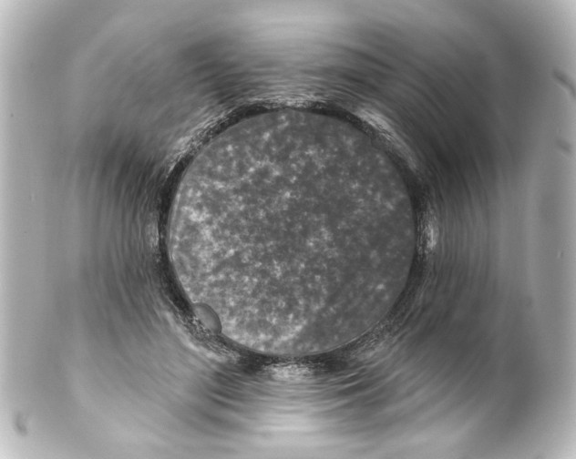 X0000100210500200806271707