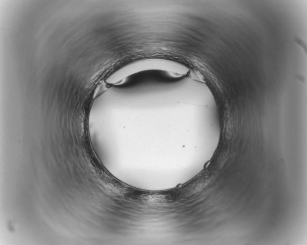 X0000100210501200806271707