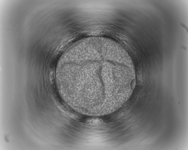 X0000100210503200806271707