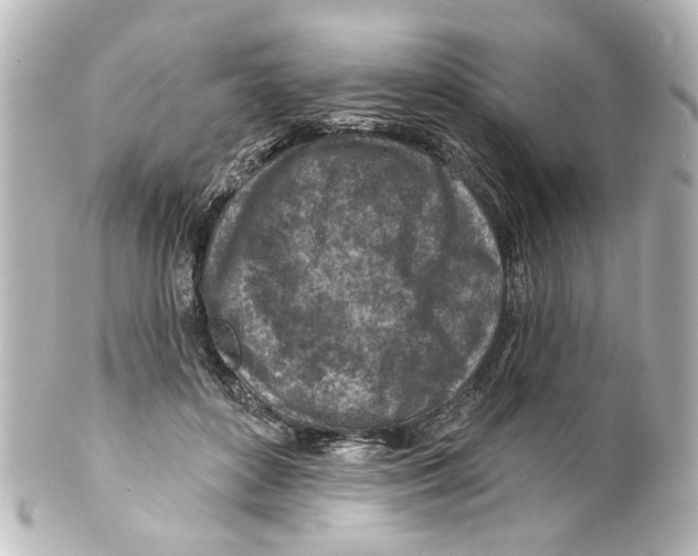 X0000100210504200806271707