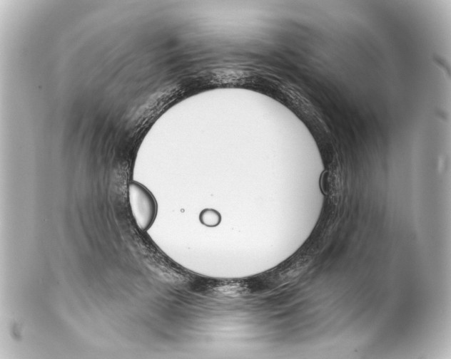 X0000100210505200806271707