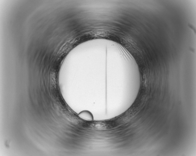 X0000100210506200806271707
