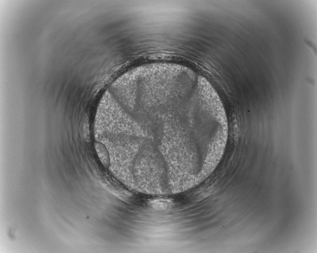 X0000100210508200806271707