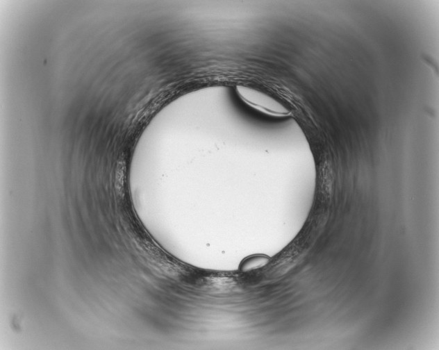 X0000100210509200806271707