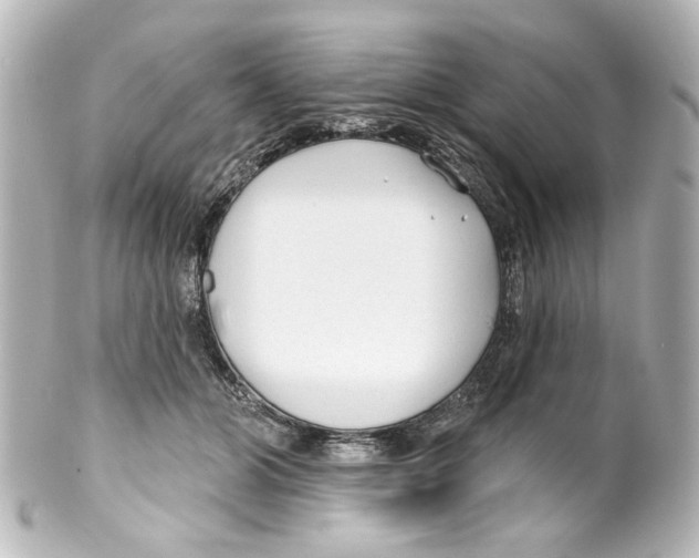 X0000100210510200806271707