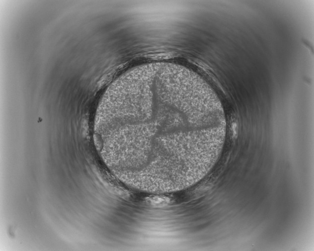 X0000100210512200806271707