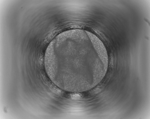 X0000100210513200806271707