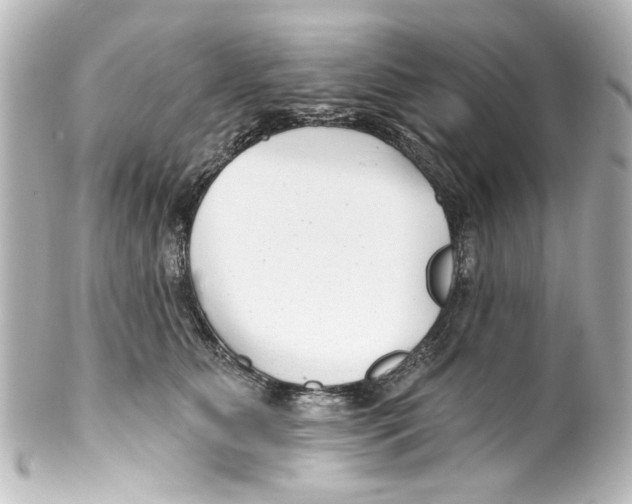 X0000100210515200806271707