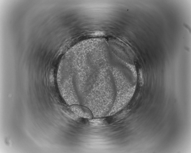 X0000100210516200806271707