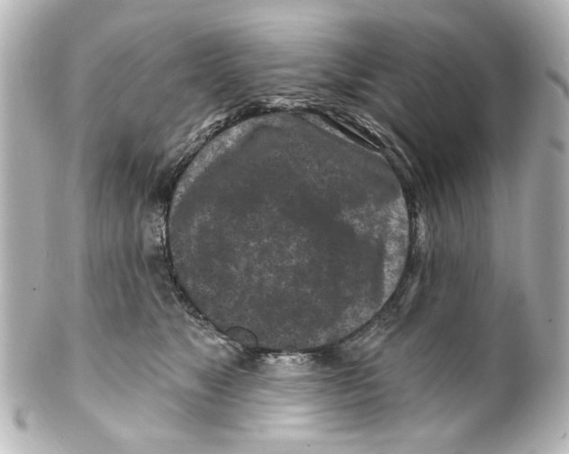 X0000100210517200806271707