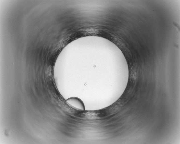 X0000100210518200806271707