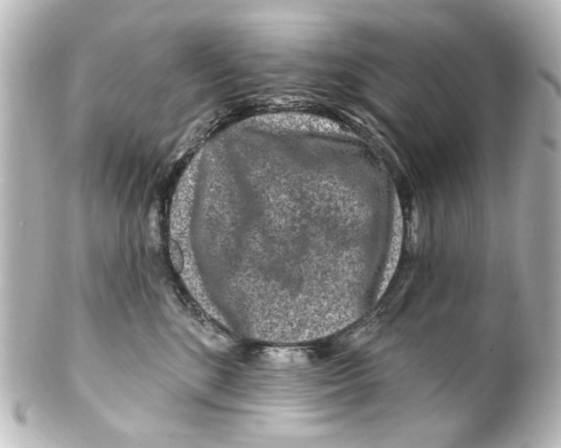 X0000100210520200806271707
