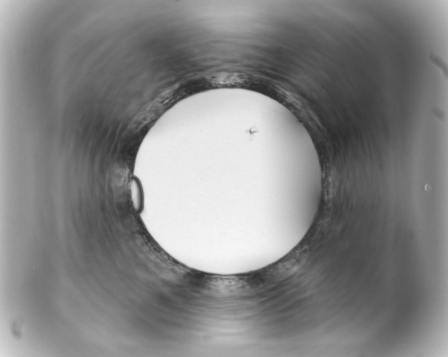 X0000100210521200806271707