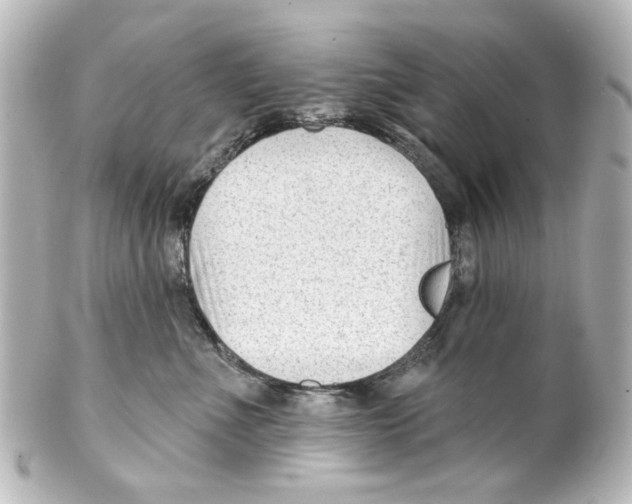 X0000100210523200806271707