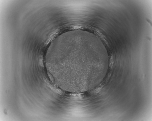 X0000100210524200806271707