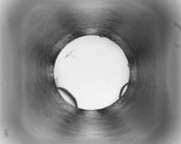 X0000100210525200806271707