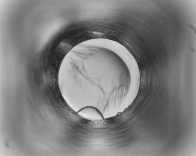 X0000100210526200806271707