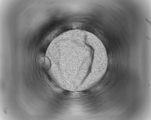 X0000100210527200806271707