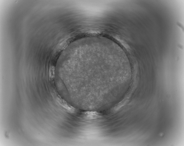 X0000100210528200806271707