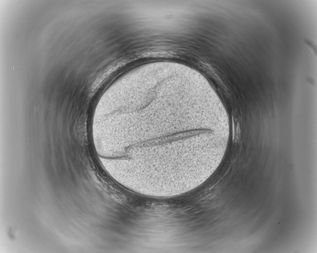 X0000100210531200806271706