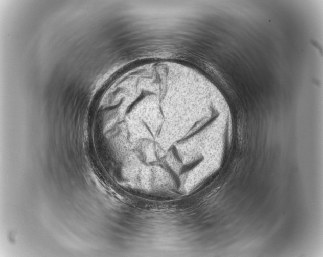 X0000100210532200806271706