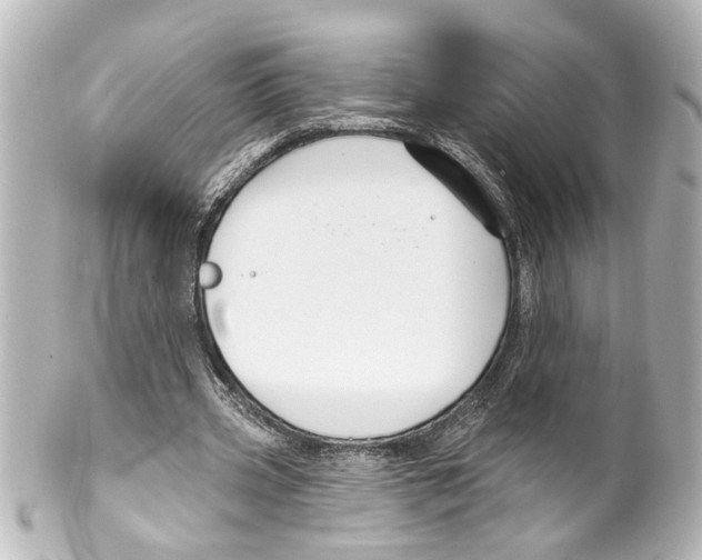 X0000100210533200806271706