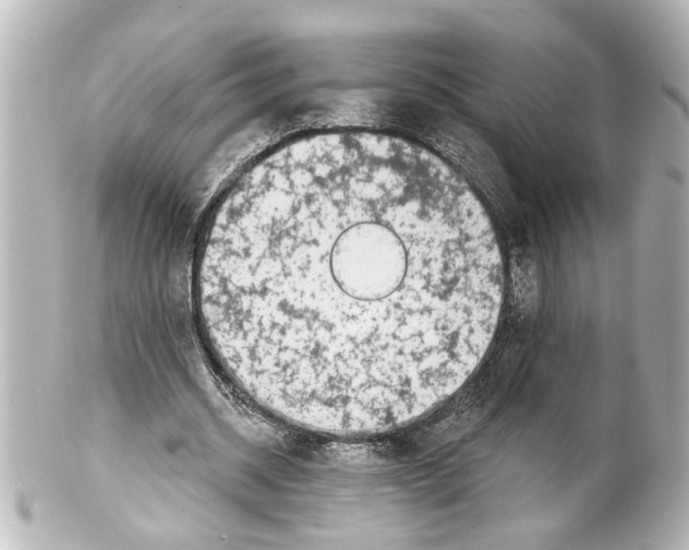 X0000100210534200806271706