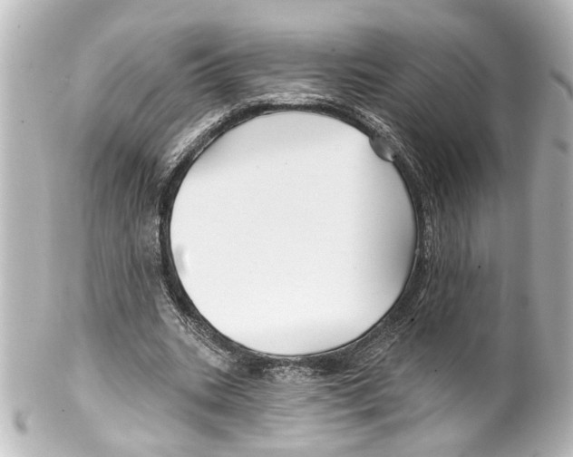X0000100210535200806271706