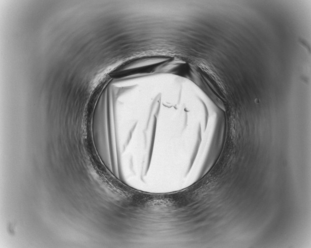 X0000100210536200806271706
