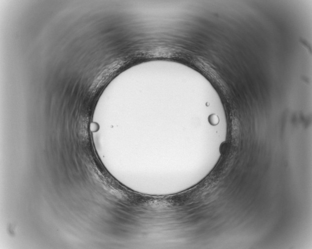 X0000100210537200806271706