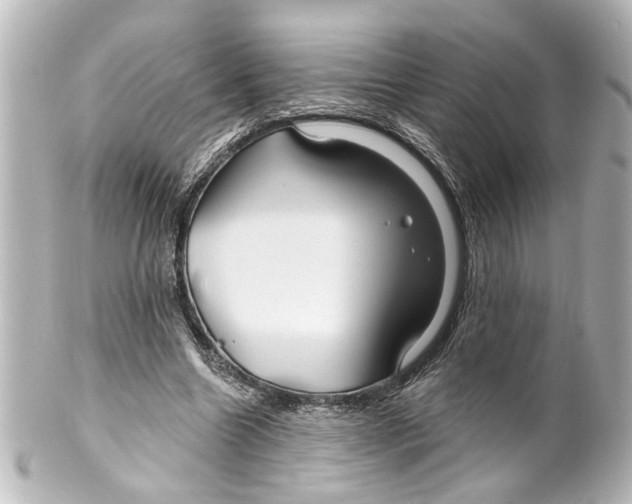 X0000100210538200806271706