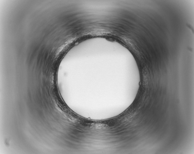 X0000100210539200806271706