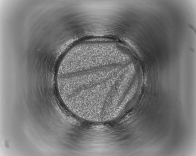 X0000100210540200806271706